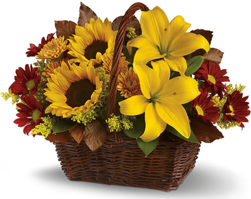 Image of the Bountiful Basket