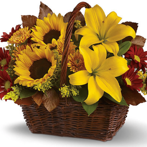 Image of the Bountiful Basket