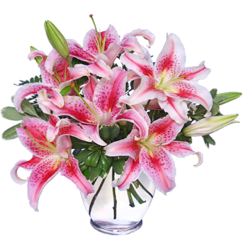 Image of the Stunning Stargazer floral arrangement