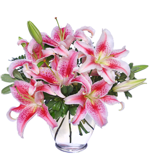 Image of the Stunning Stargazer floral arrangement