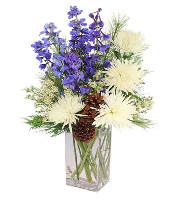 Image of the Twas the Night floral arrangement