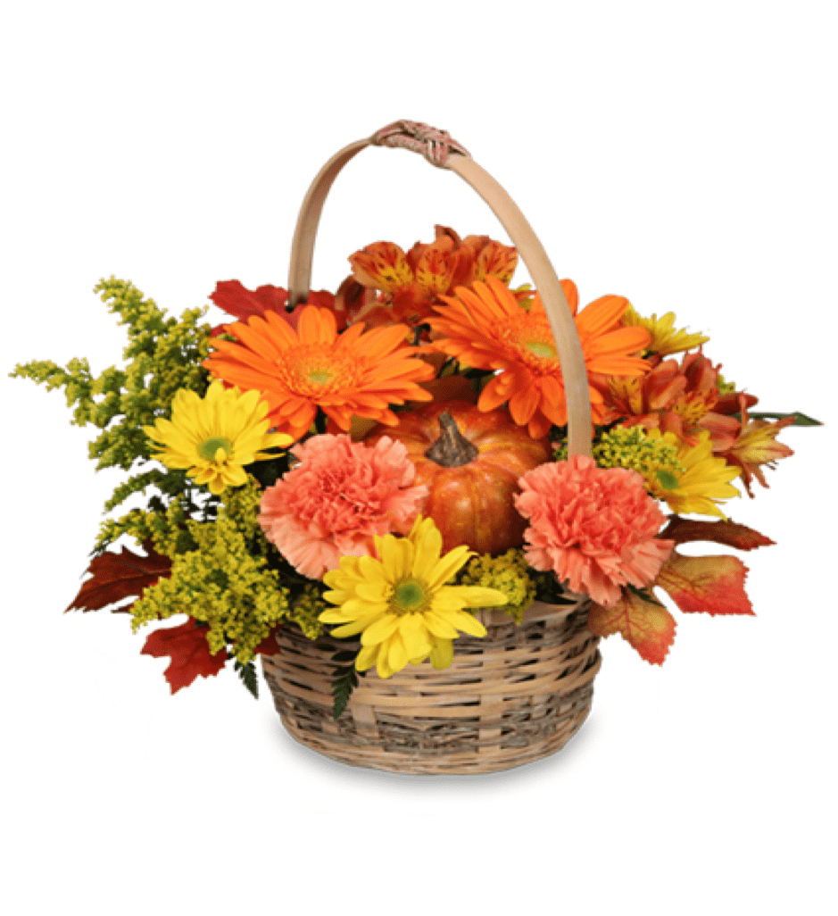Image of the Enjoy Fall floral arrangement