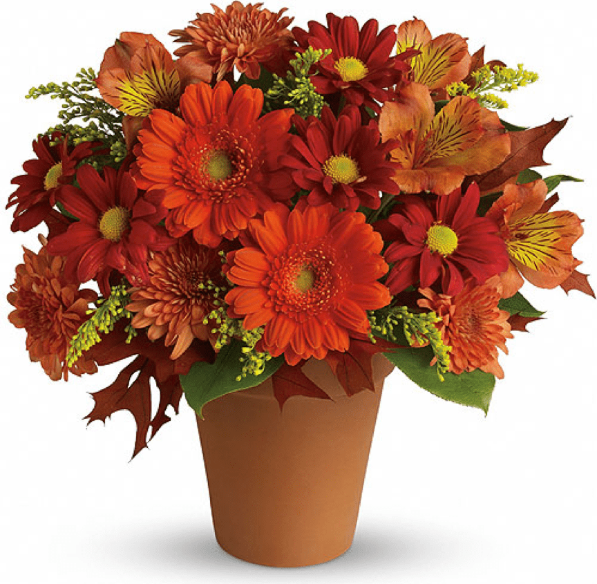 Image of the Signs of Fall Regular floral arrangement