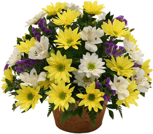 Image of the Basketful of Daisies bouqet