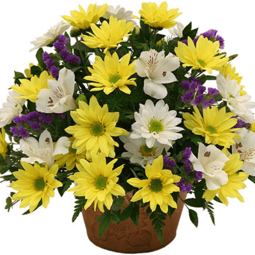 Image of the Basketful of Daisies bouqet