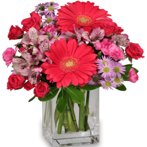 Image of the Epic Bloomers arrangement