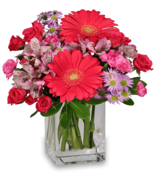 Image of the Epic Bloomers arrangement