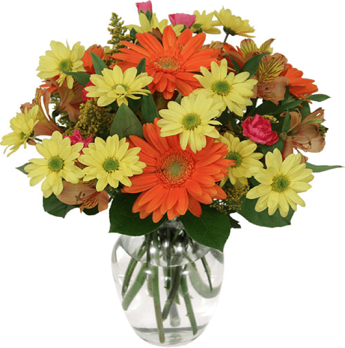 Image of the Lazy Daisies bouquet