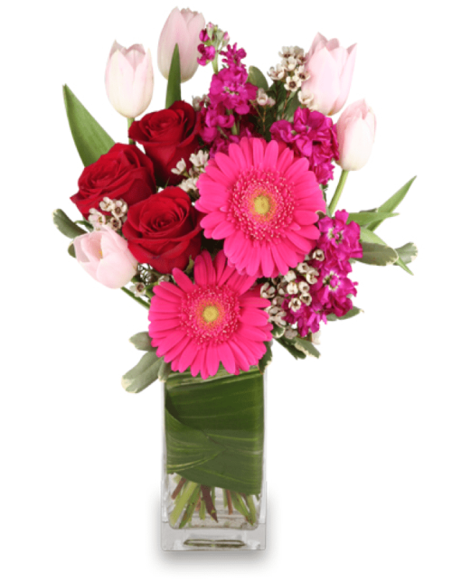 Image of the Love Fest floral arrangement