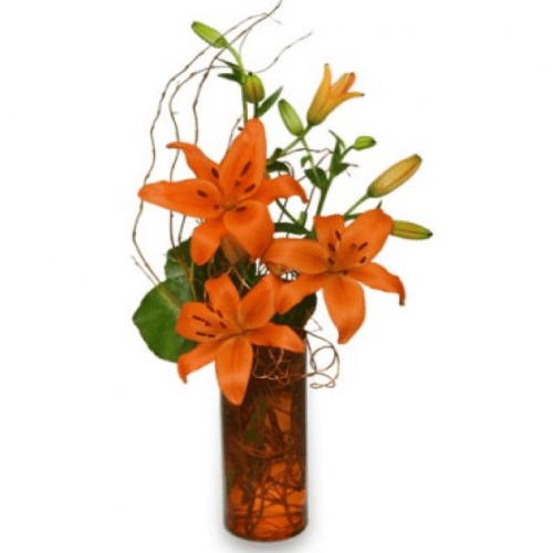 Image of the Orange You Great arrangement