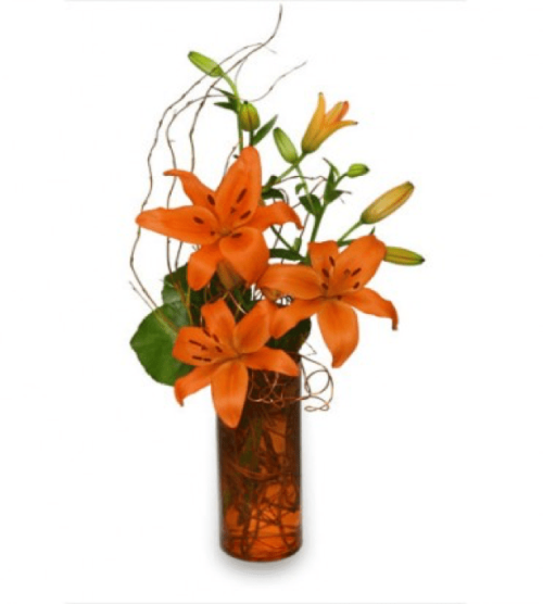 Image of the Orange You Great arrangement