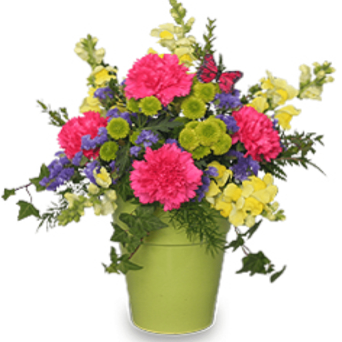 Image of the Pot O Posies floral arrangement