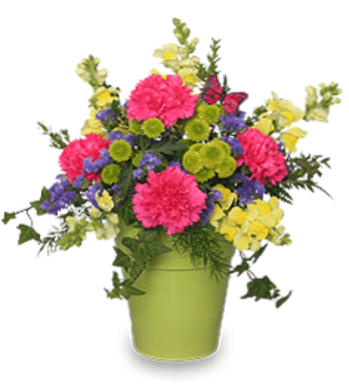 Image of the Pot O Posies floral arrangement