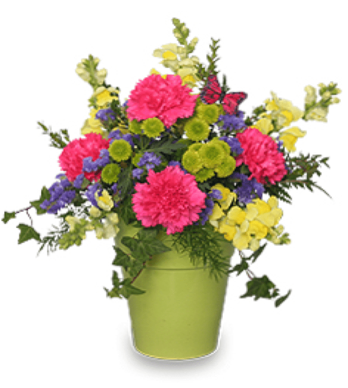 Image of the Pot O Posies floral arrangement