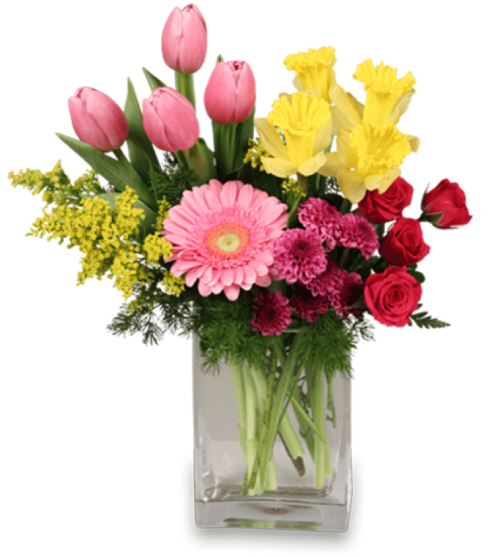 Image of the Spring is in the Air floral arrangement
