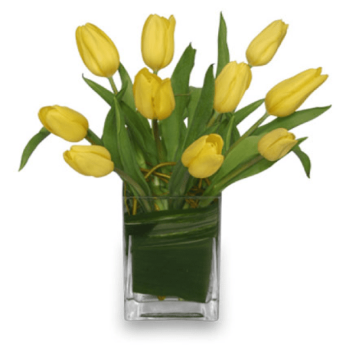 Image of the Suddenly Tulips arrangement