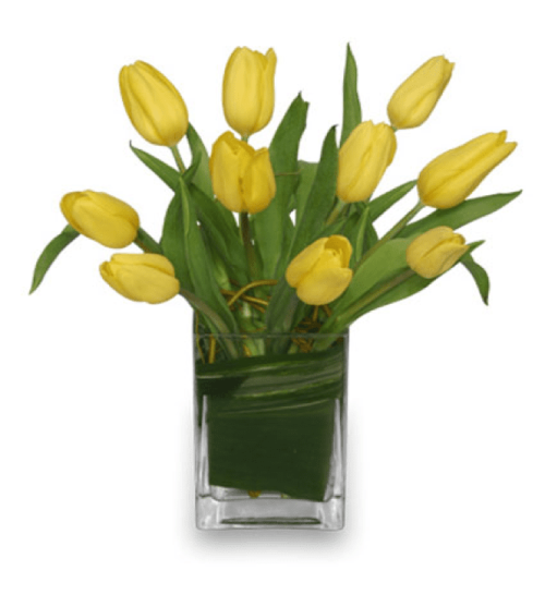 Image of the Suddenly Tulips arrangement