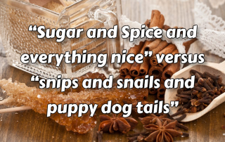 Sugar and Spice and everything nice versus snips and snails and puppy dog tails