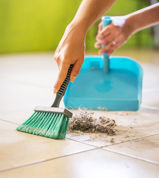 Woman House Cleaning A woman sweeps up dust and dirt from the floor while cleaning the house