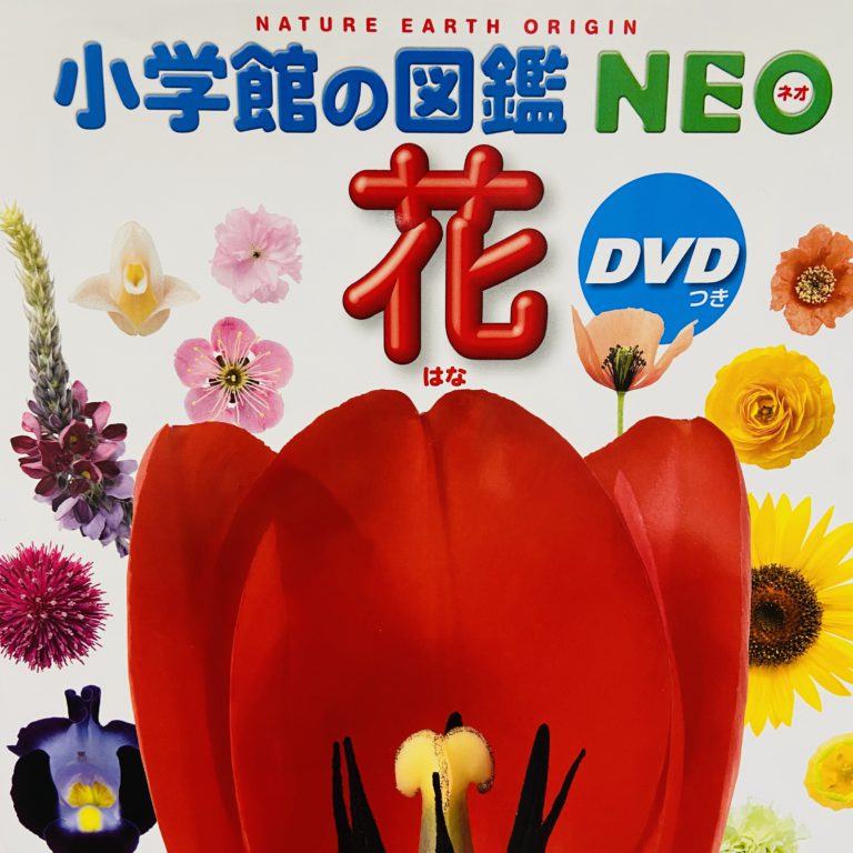 小学館の図鑑 NEO 花