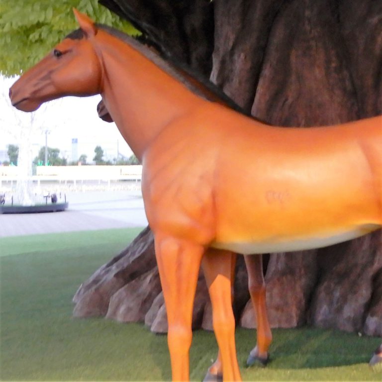 大井競馬場 ウマ