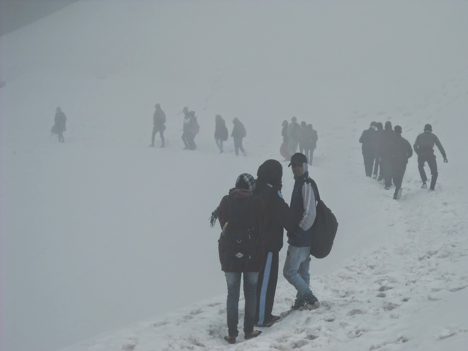 Missing NIT students' bodies found near Shikari Valley, Mandi