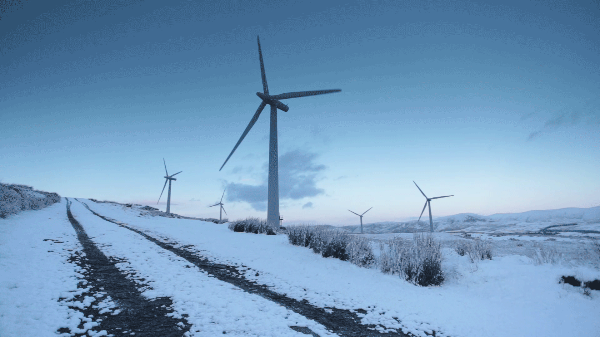 cinemagraphs windmill