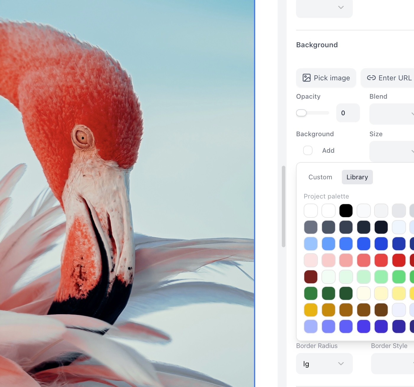 Integrated media library & pro imagery