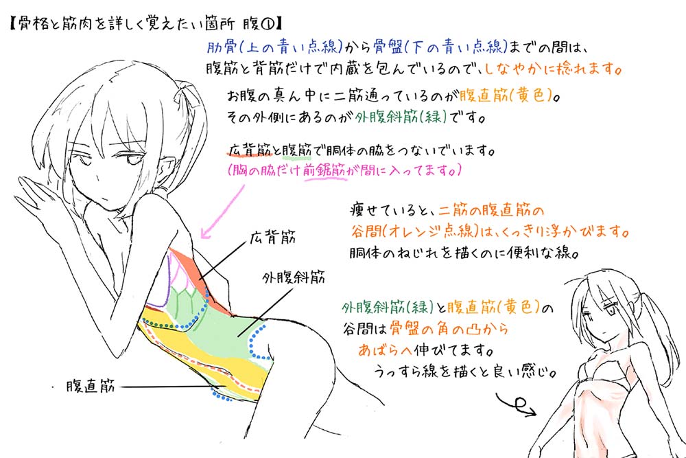 人体イラスト 女性編 学校法人専門学校 東洋美術学校