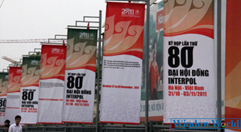 Picture19-800x439