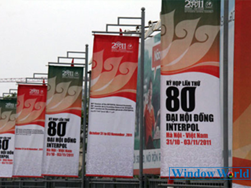Picture36-800x600