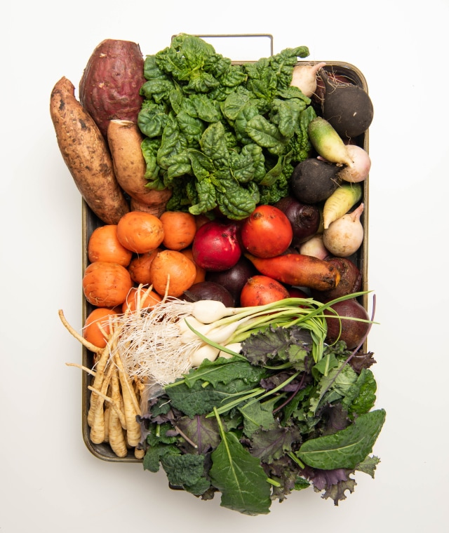 An overhead shot of a neatly-organized tray filled with a wide variety of garden vegetables.