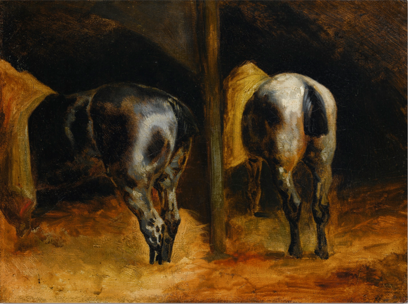 Horse's rumps