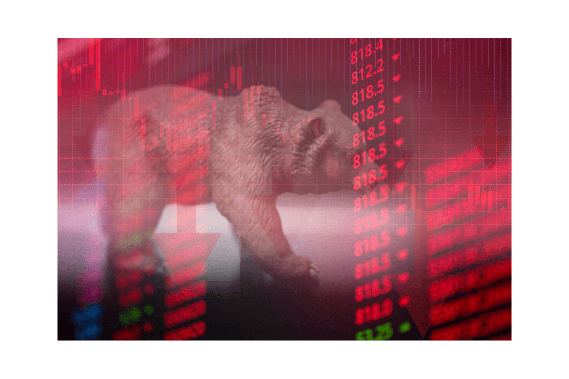 Bear and Markets