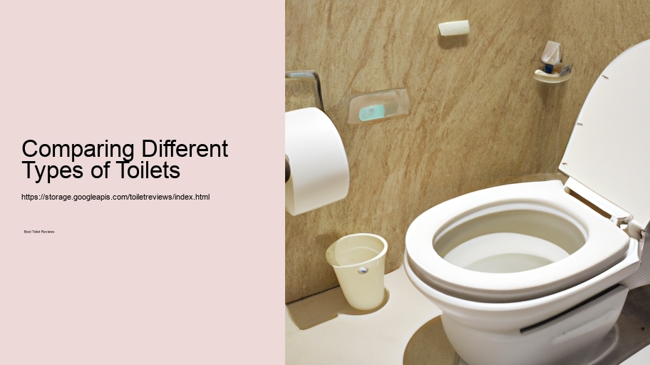 Comparing Different Types of Toilets