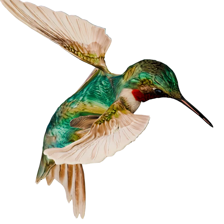 Colibrí alabeado a mitad de giro, alas asimétricas y cola abierta en abanico