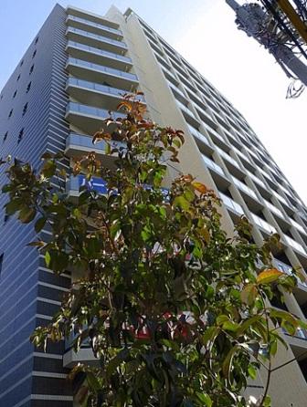 パークハビオ渋谷