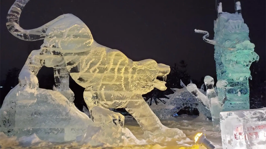 Asahikawa Winter Festival 2026