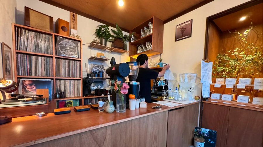 Backalley Coffee Swamp
