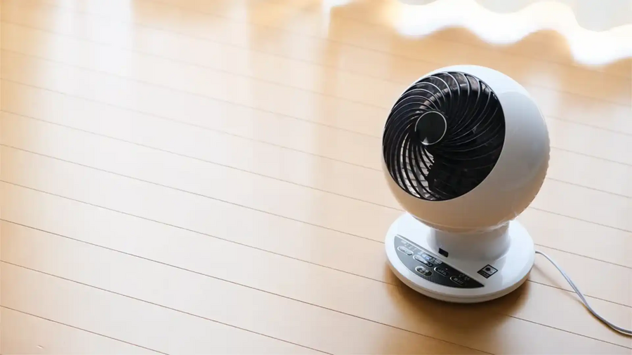 Iris Ohyama Circulator Fan
