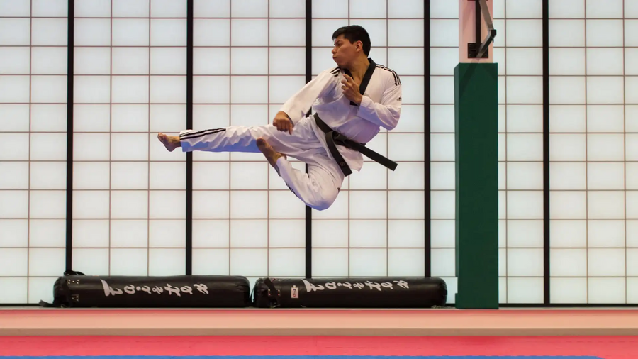 Judo Grand Slam Tokyo