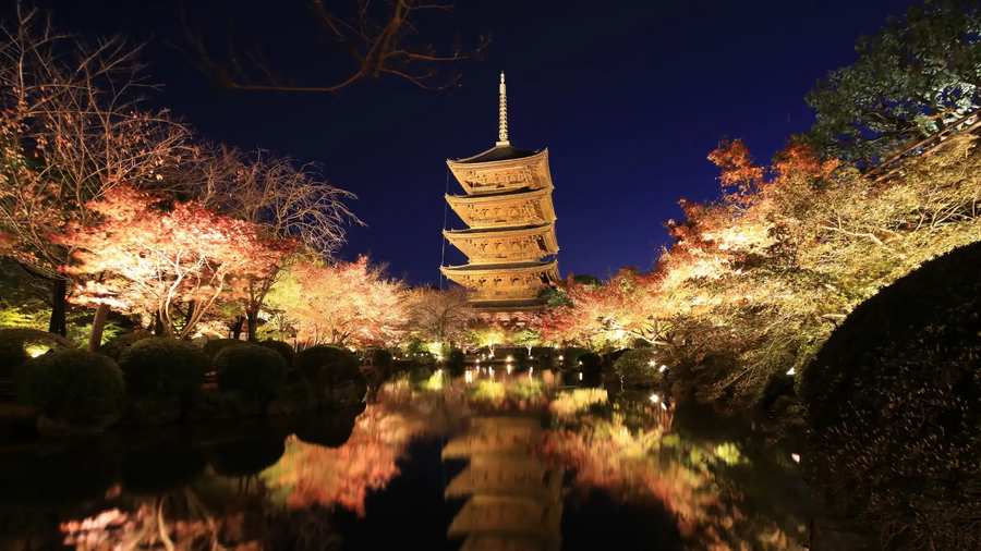 Kyoto Autumn Illumination