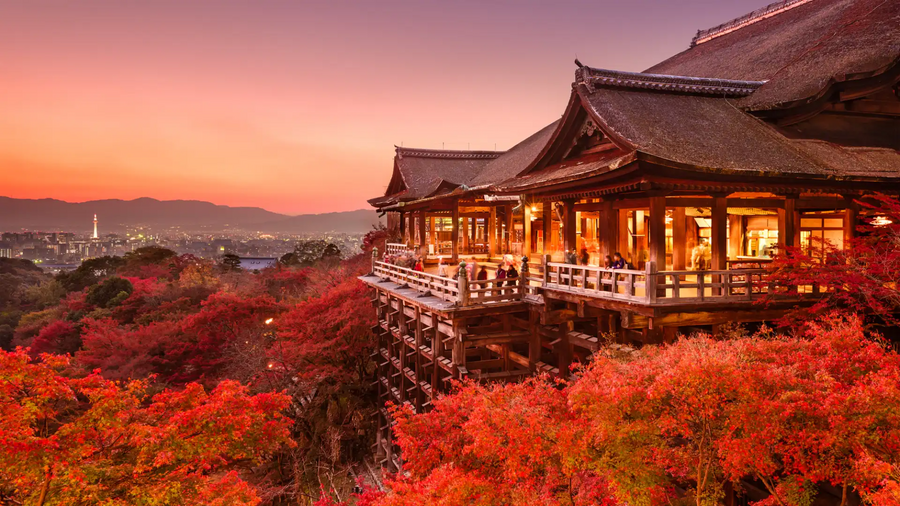 Kyoto Autumn Illumination