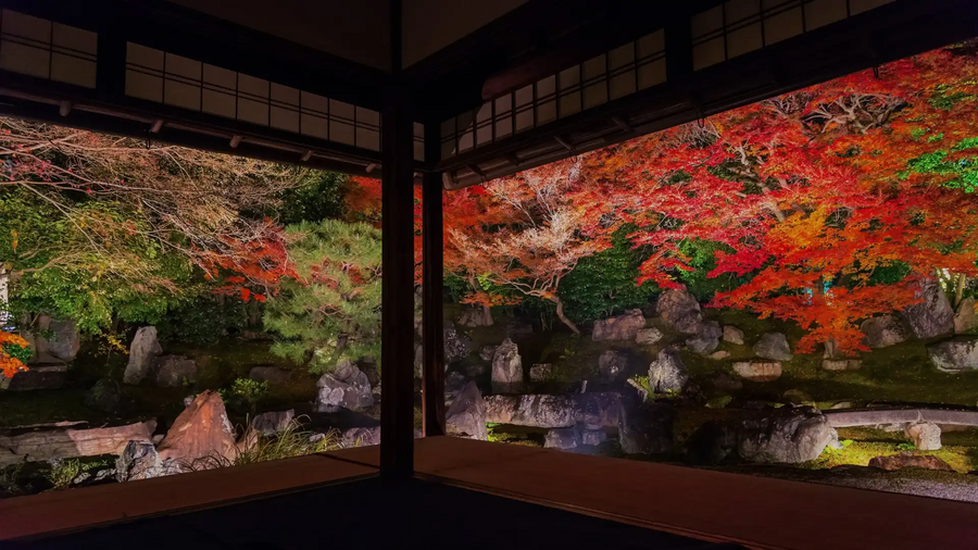 京都の秋のライトアップ