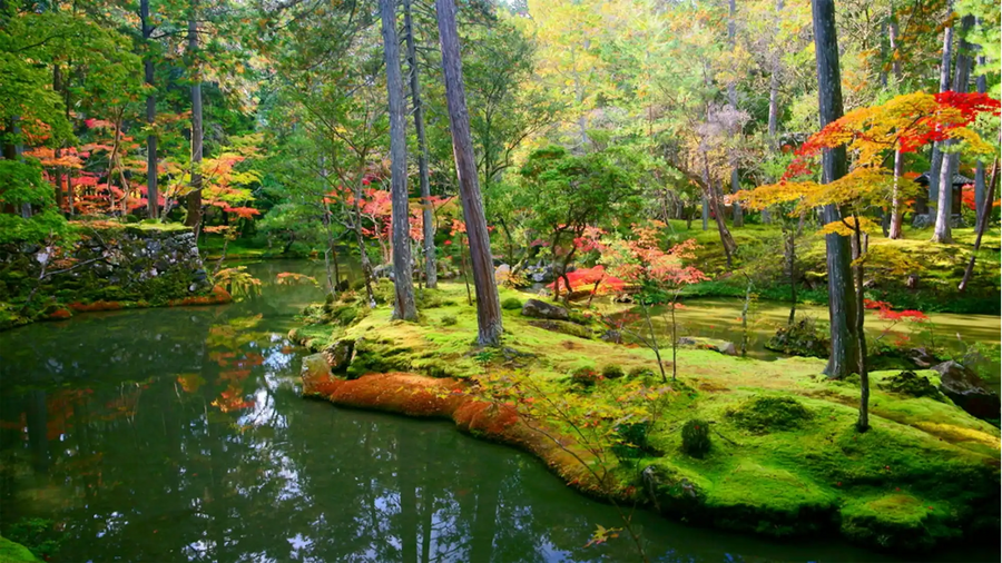西芳寺