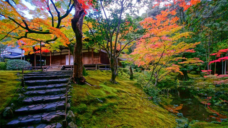 西芳寺