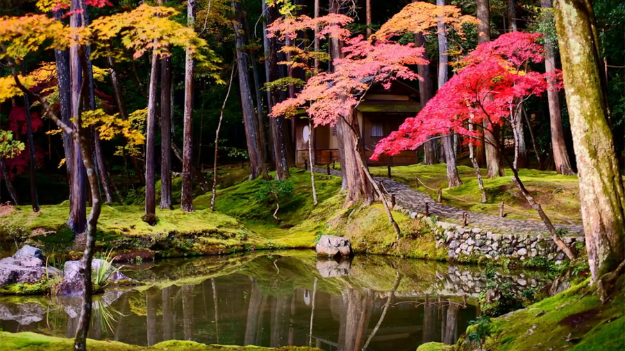 西芳寺