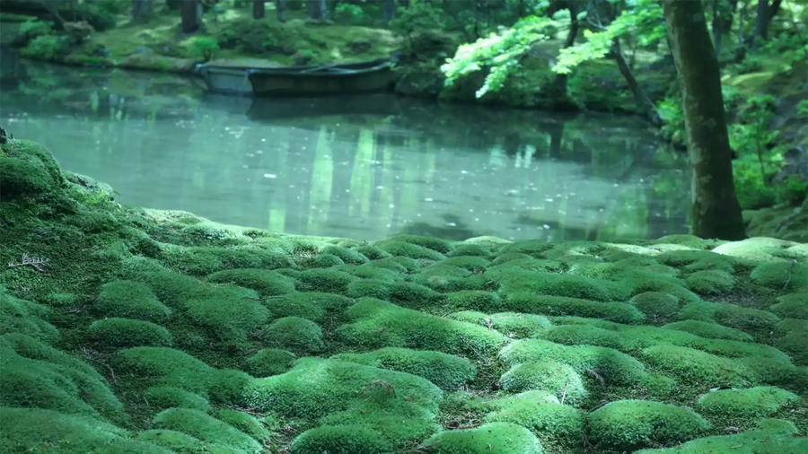 西芳寺