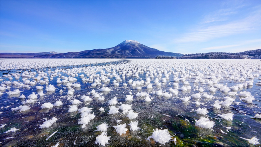 Lake Akan Marimo Festival