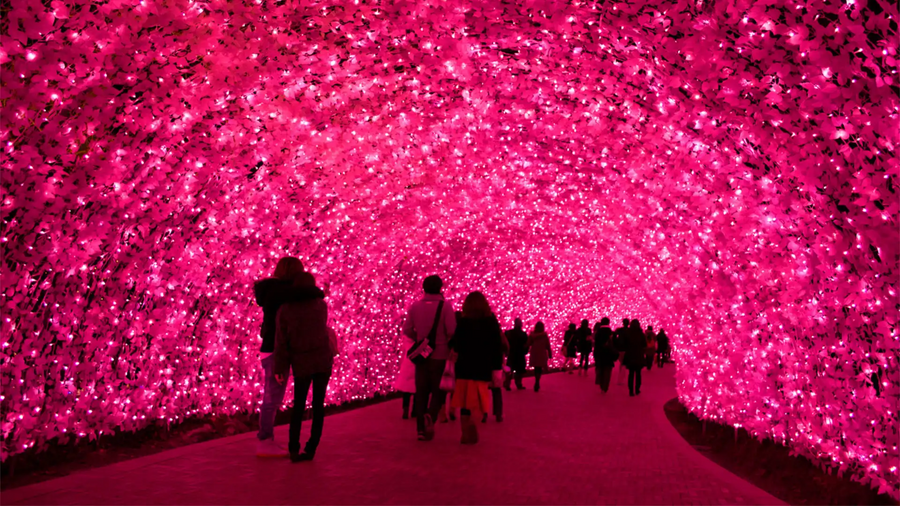 Nabana no Sato Illumination